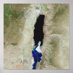 Póster El Mar Muerto