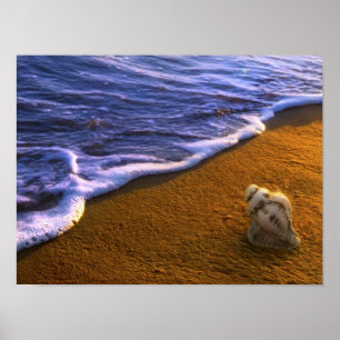 Póster El mar Shell en resaca divide en zonas