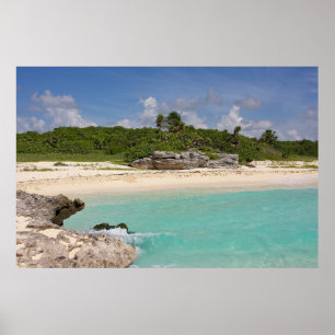 Póster El mar y la selva