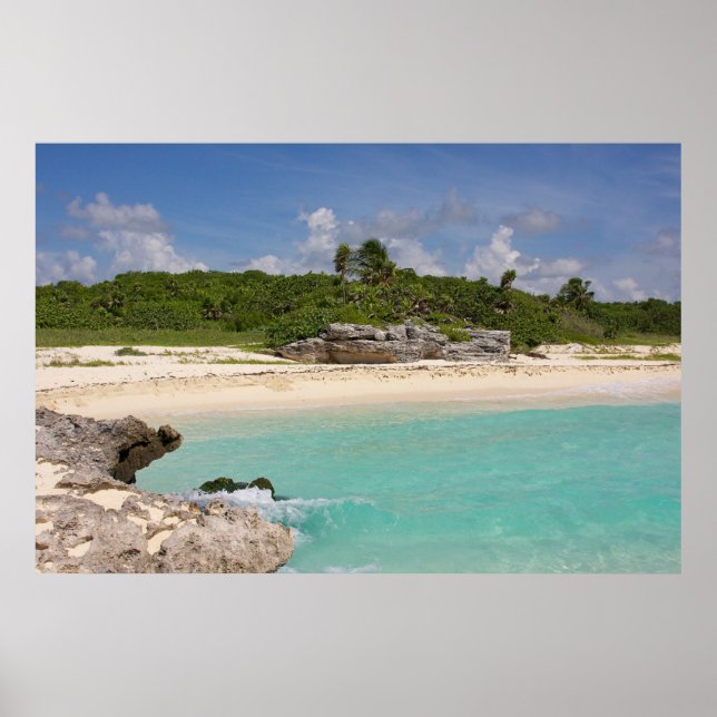 Póster El Mar Y La Selva (Frente)