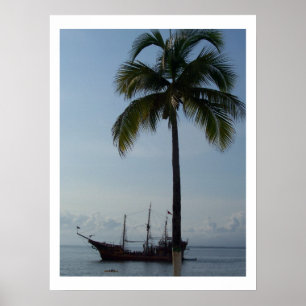 Póster El marigalante