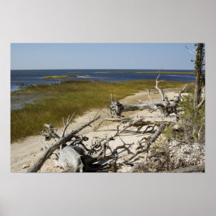 Póster El marisco en la playa