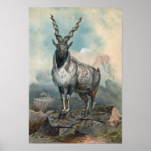 Póster El Markhore de Joseph Wolf