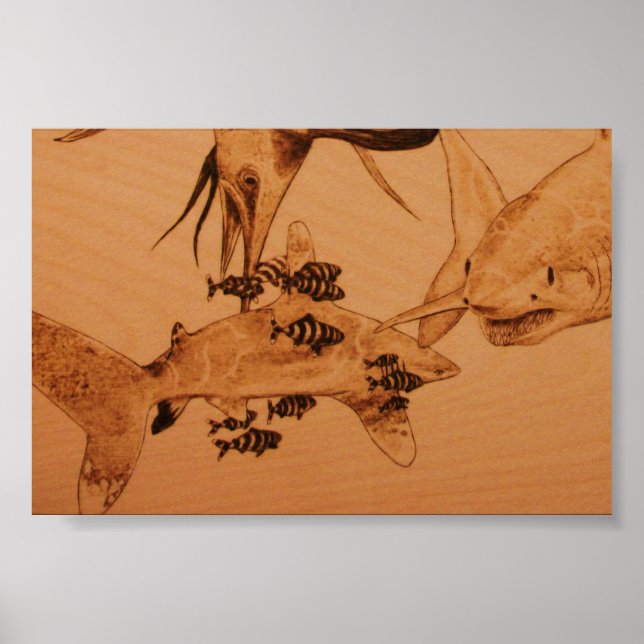 Póster El matón de tiburones (Frente)