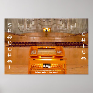 Póster El mayor poster de órganos de China