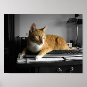Póster El mecanógrafo