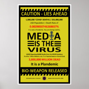 Póster El medio es el virus