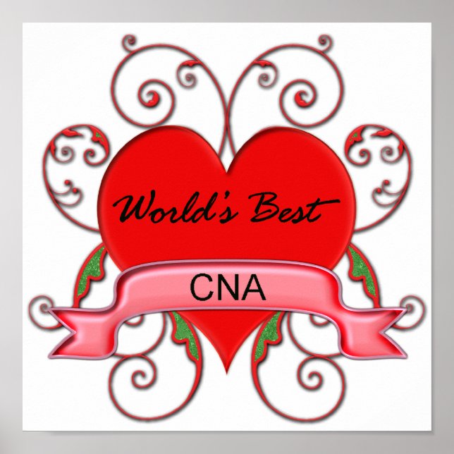Póster El mejor CNA del mundo (Frente)