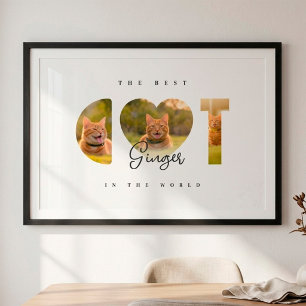 Póster El Mejor Gato Del Mundo Colaje de 3 Fotos Personal