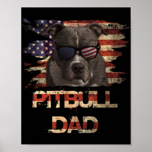 Póster El mejor papá de Pitbull fue la bandera norteameri