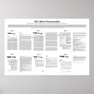 Póster El Memorando de Acción de McCollum