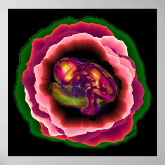 Póster El milagro de la vida