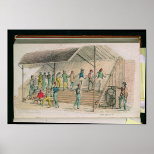 Póster El Molino de Pan