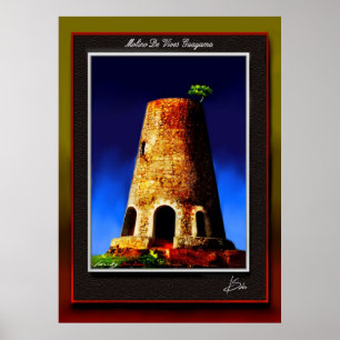 Póster El molino de vivo de Guayama