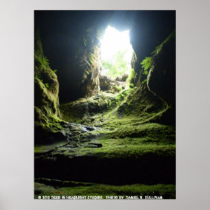 Póster El mono excava WA