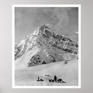 Póster El monte McKinley majestuoso 1908