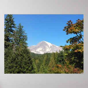 Póster El Monte Rainier enmarcó por los árboles del pino