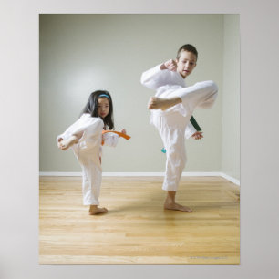 Póster El muchacho y el chica (4-9) el Taekwondo