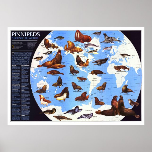 Póster " El mundo: 1987 Pinniped alrededor del mundo ... (Frente)