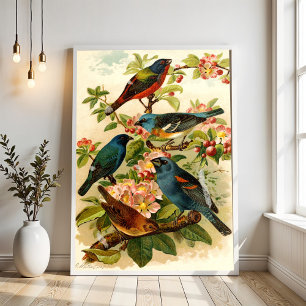 Póster El mundo de las aves norteamericanas, Gustav Mütz