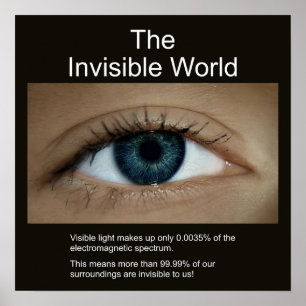 Póster El mundo invisible