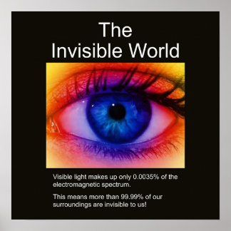 Póster El mundo invisible