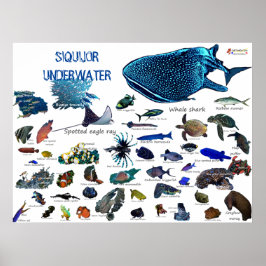 Póster El mundo submarino de Siquijor