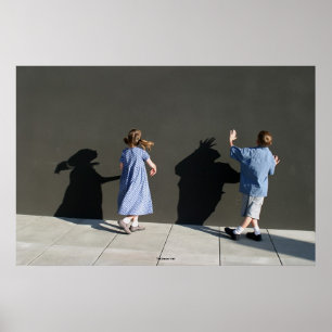 Póster El muro de la sombra