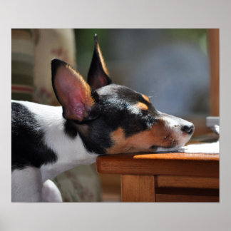 Póster El Nap de Enzo