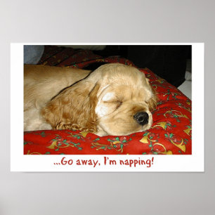 Póster El Napping
