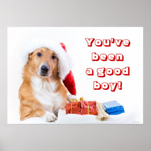 Póster El navidad persigue con la asta y los regalos