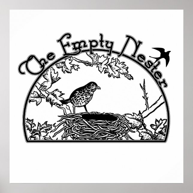 Póster El Nester Vacío (Frente)