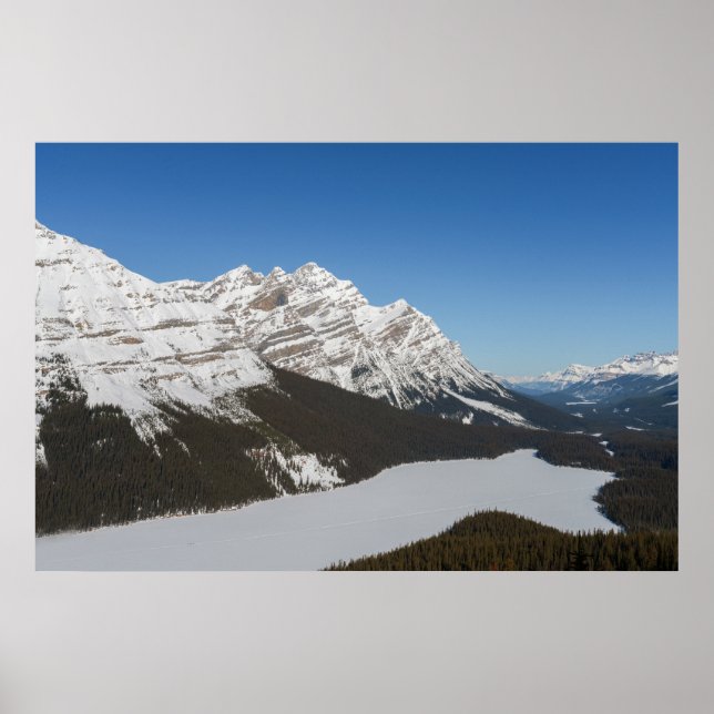 Póster El nevado lago Peyto de Jasper (Frente)