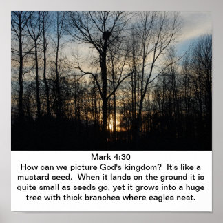 Póster El Nido del Reino de Dios