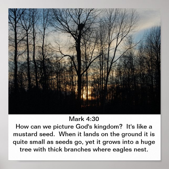 Póster El Nido del Reino de Dios (Frente)