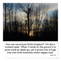 El Nido del Reino de Dios