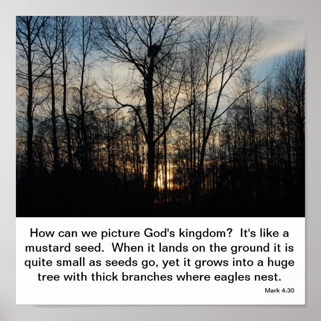 Póster El Nido del Reino de Dios (Frente)