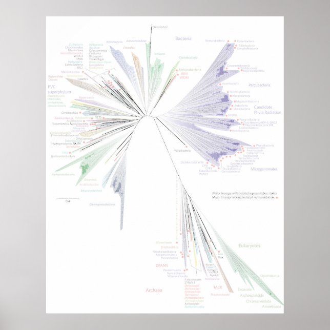 Póster El Nuevo Árbol Del Poster De La Vida (GRANDE) (Frente)