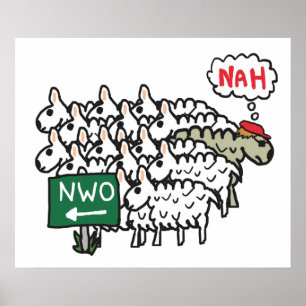 Póster El nuevo orden mundial contra la NWO