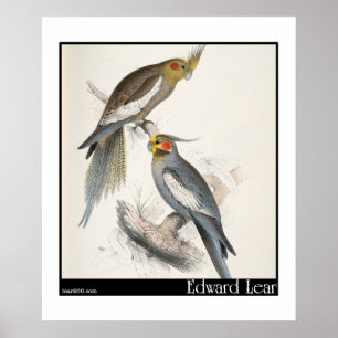 Póster El nuevo paracaídas holandés de Edward Lear