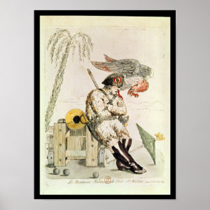 Póster El nuevo Robinson de St. Helena, 1815