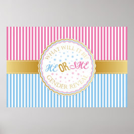 Póster El o ella Poster de revelación de género