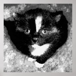 Póster El observador silencioso