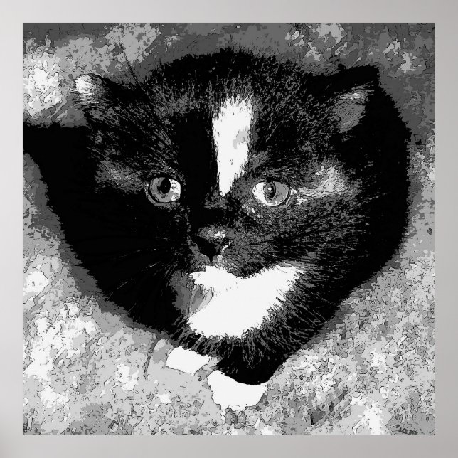 Póster El observador silencioso (Frente)