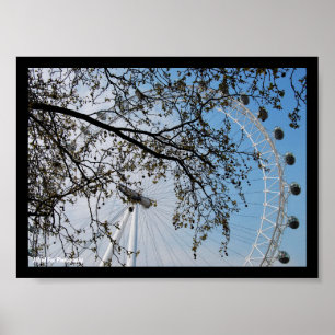 Póster El Ojo a través de las Hojas de Otoño