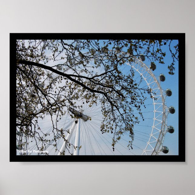 Póster El Ojo a través de las Hojas de Otoño (Frente)