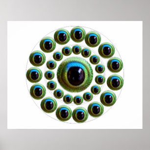 Póster El ojo del dragón - colección del chino de