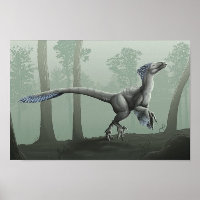 Póster El olor de la lluvia (Frente)