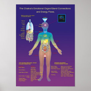 Póster El órgano Chakra / Gland and Energy Flow