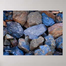 Póster El oro de los tontos